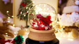 Preserved Roses - Glass Dome with Bluetooth Speaker